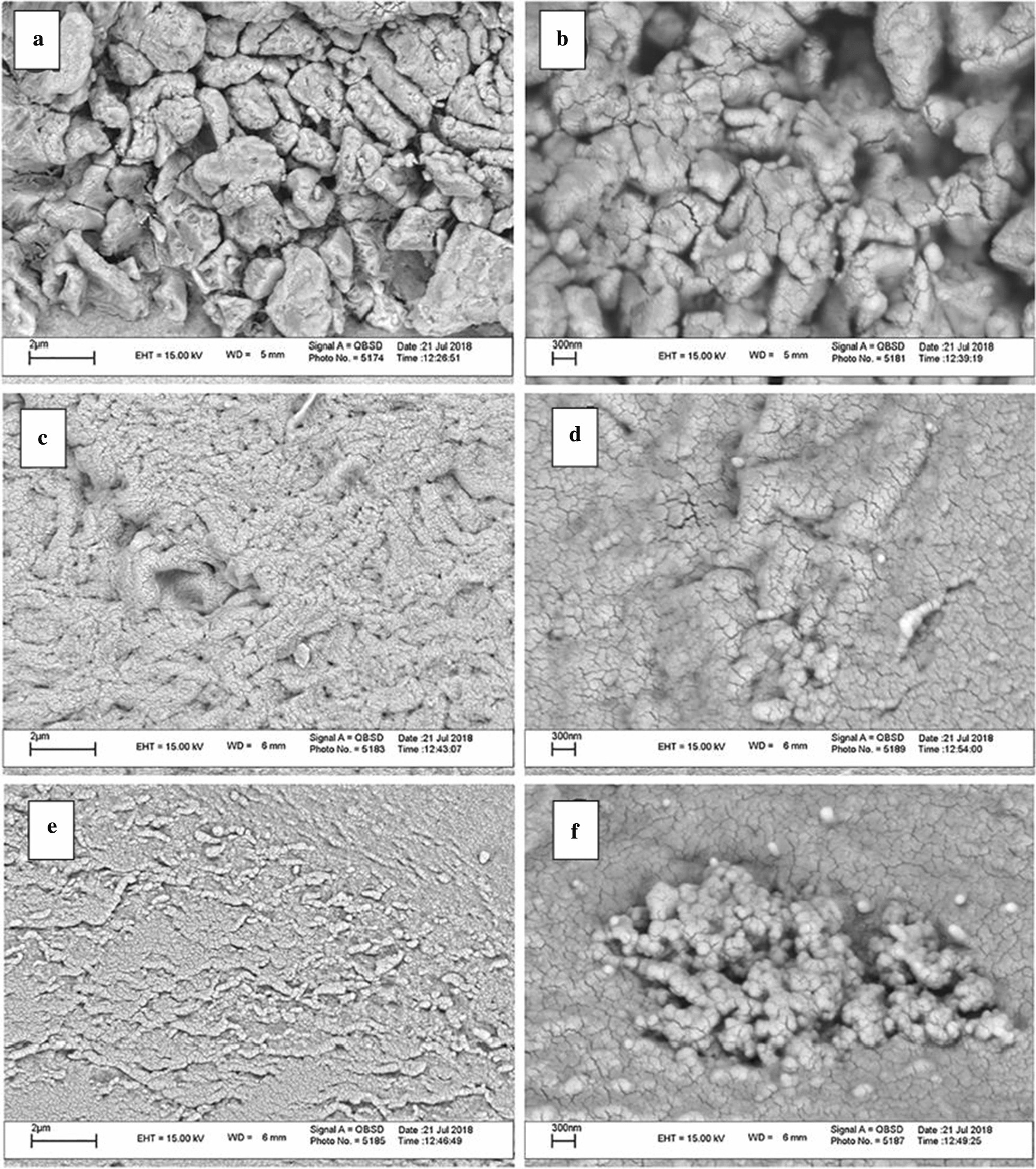 Fig. 27