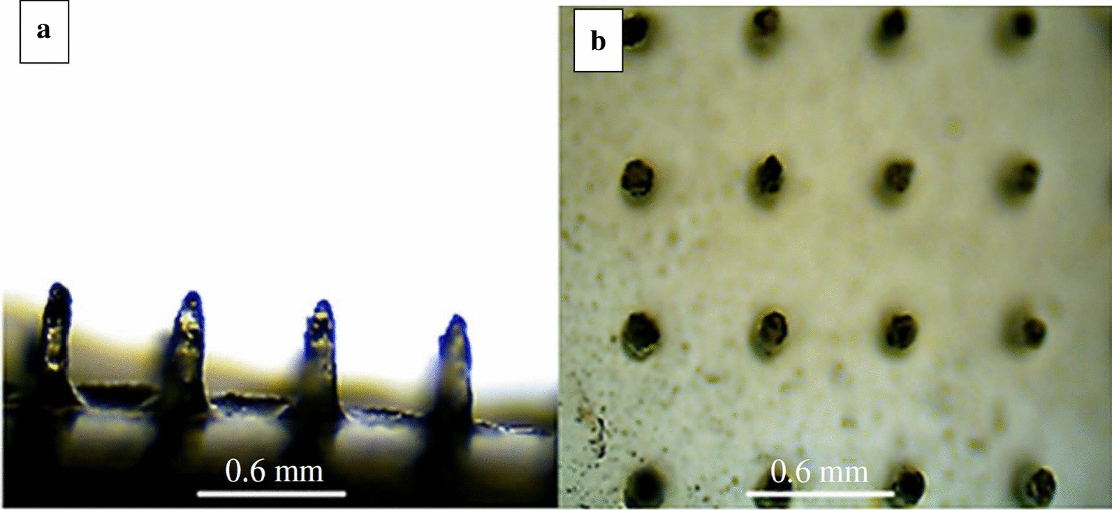 Fig. 28