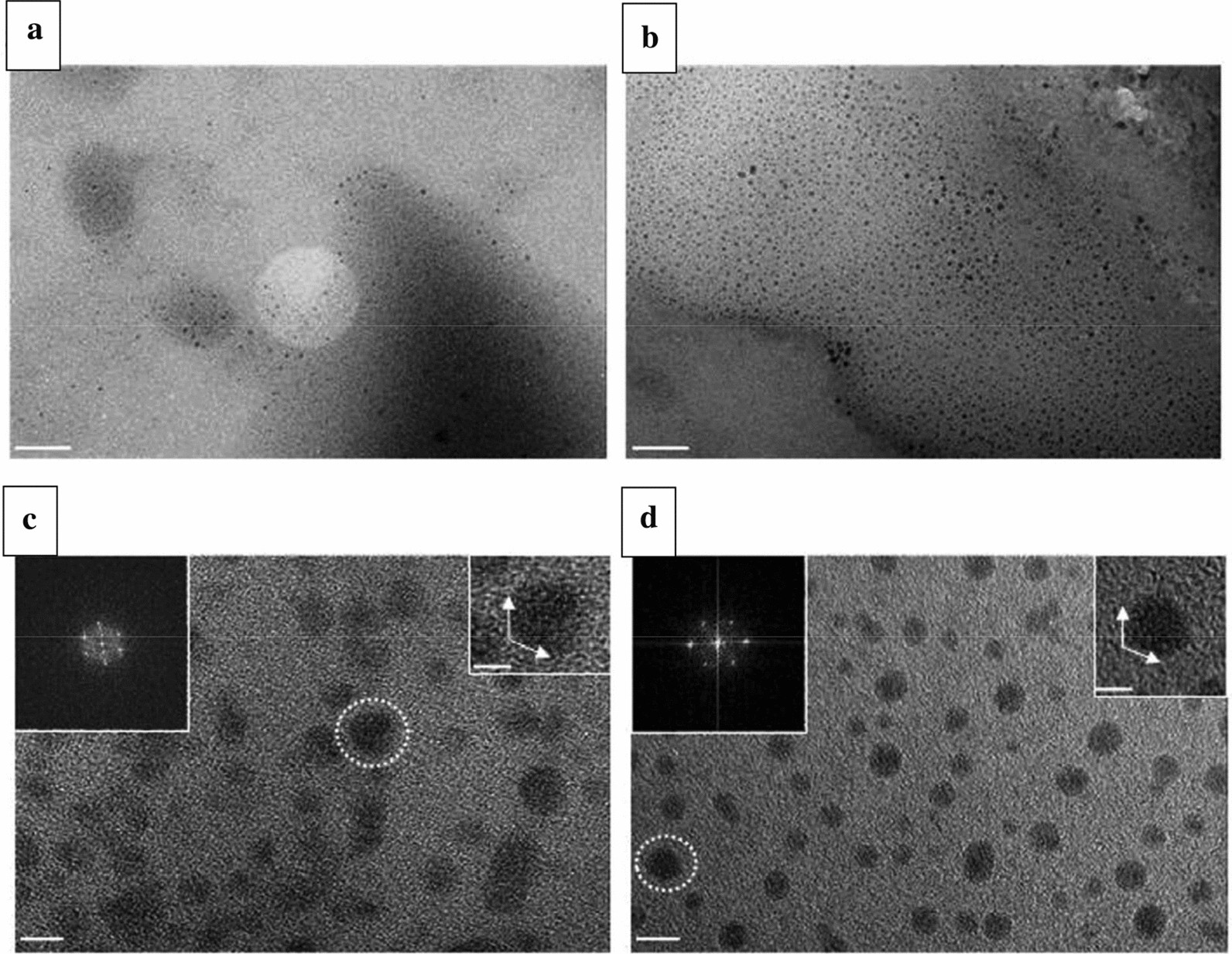 Fig. 7