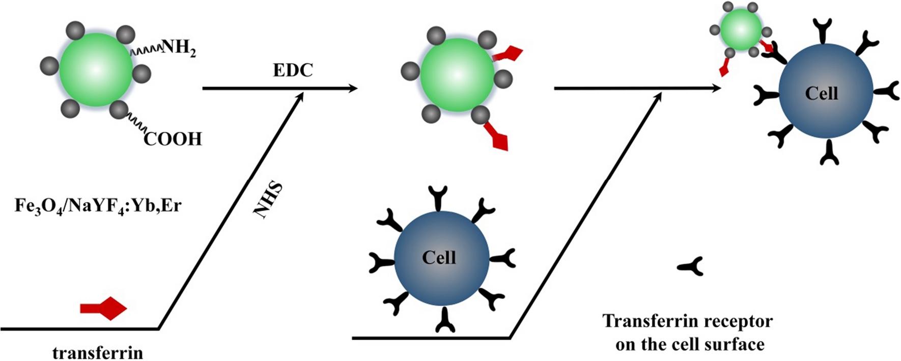 Fig. 9