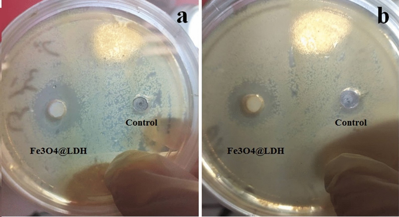 Fig. 7