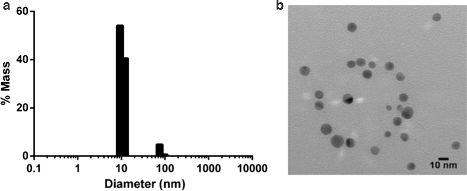 Fig. 1