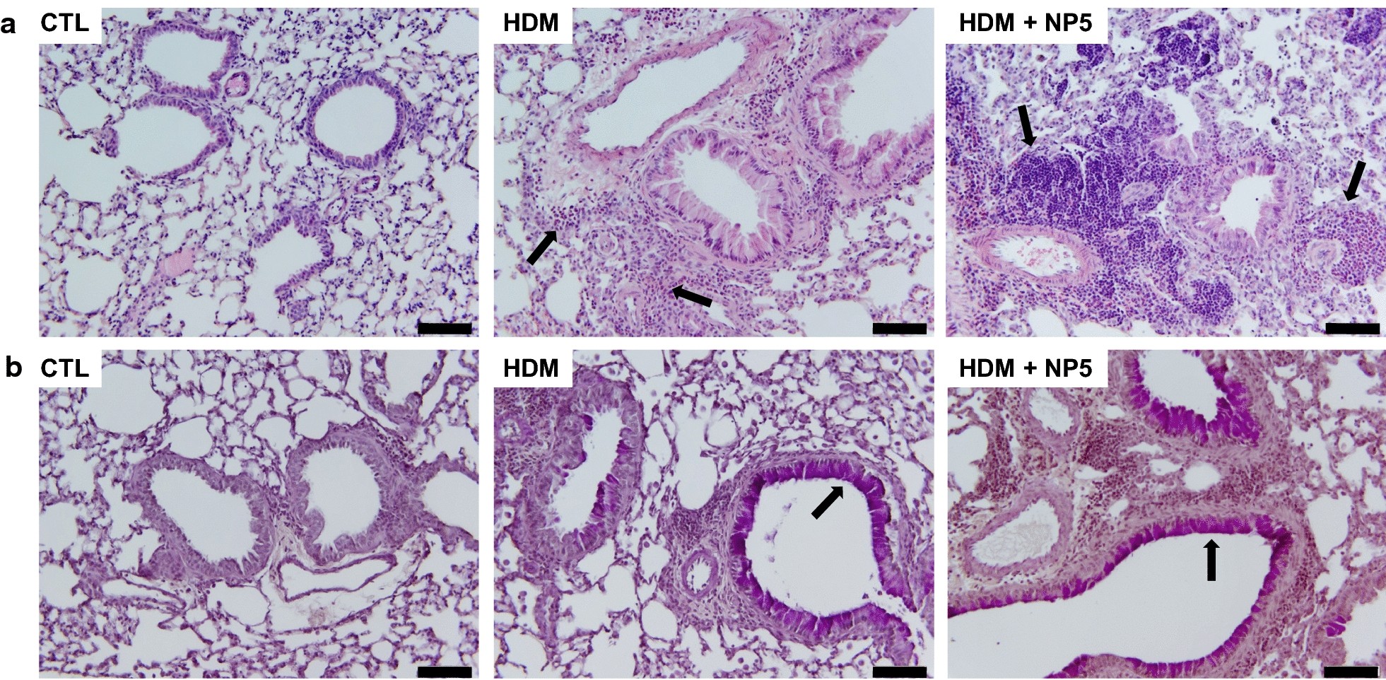 Fig. 8