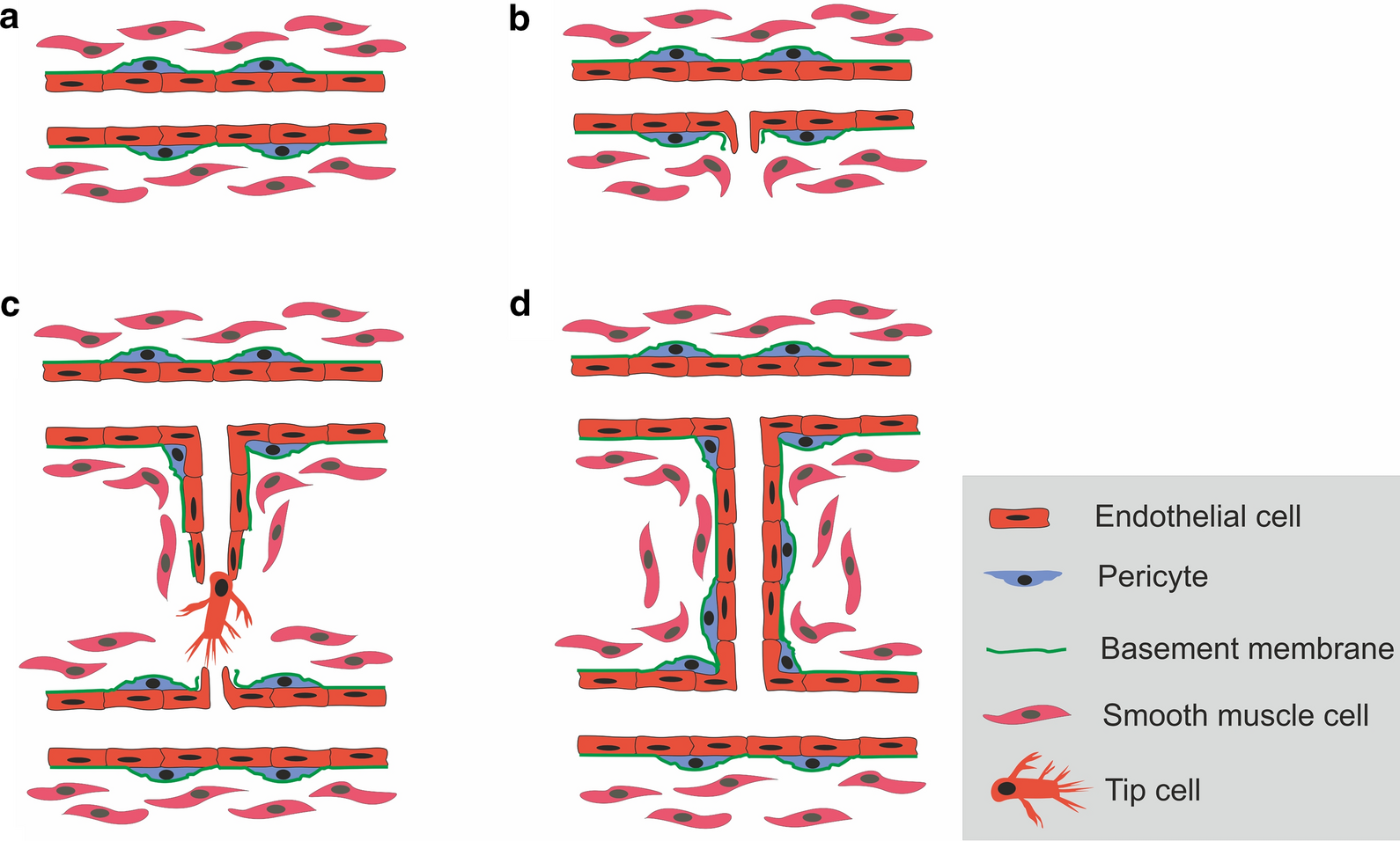 Fig. 1