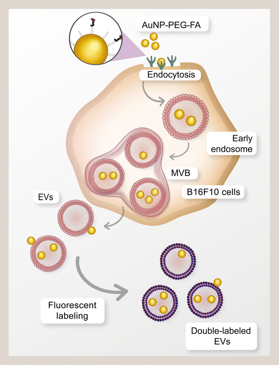 Scheme 1.