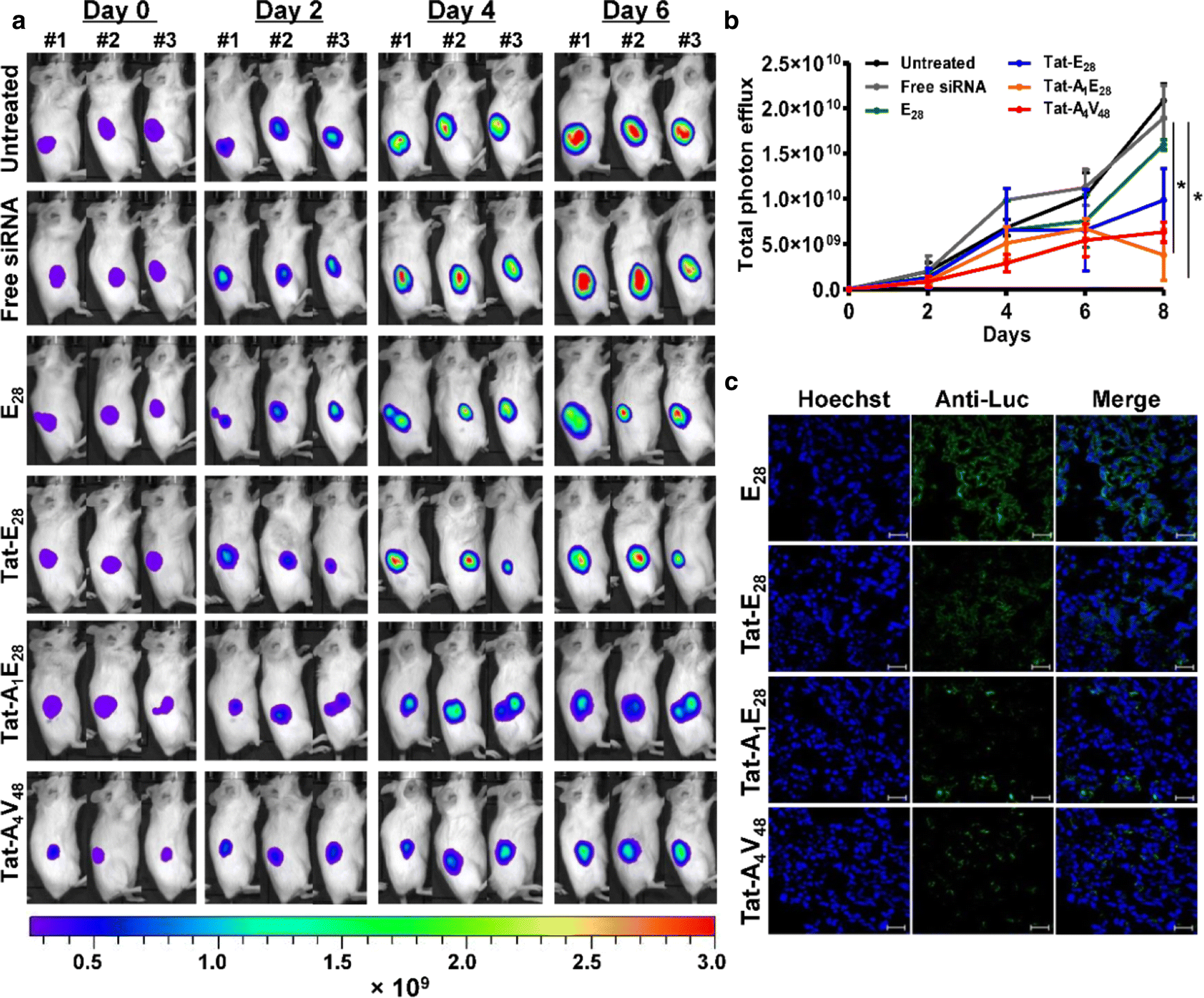 Fig. 6