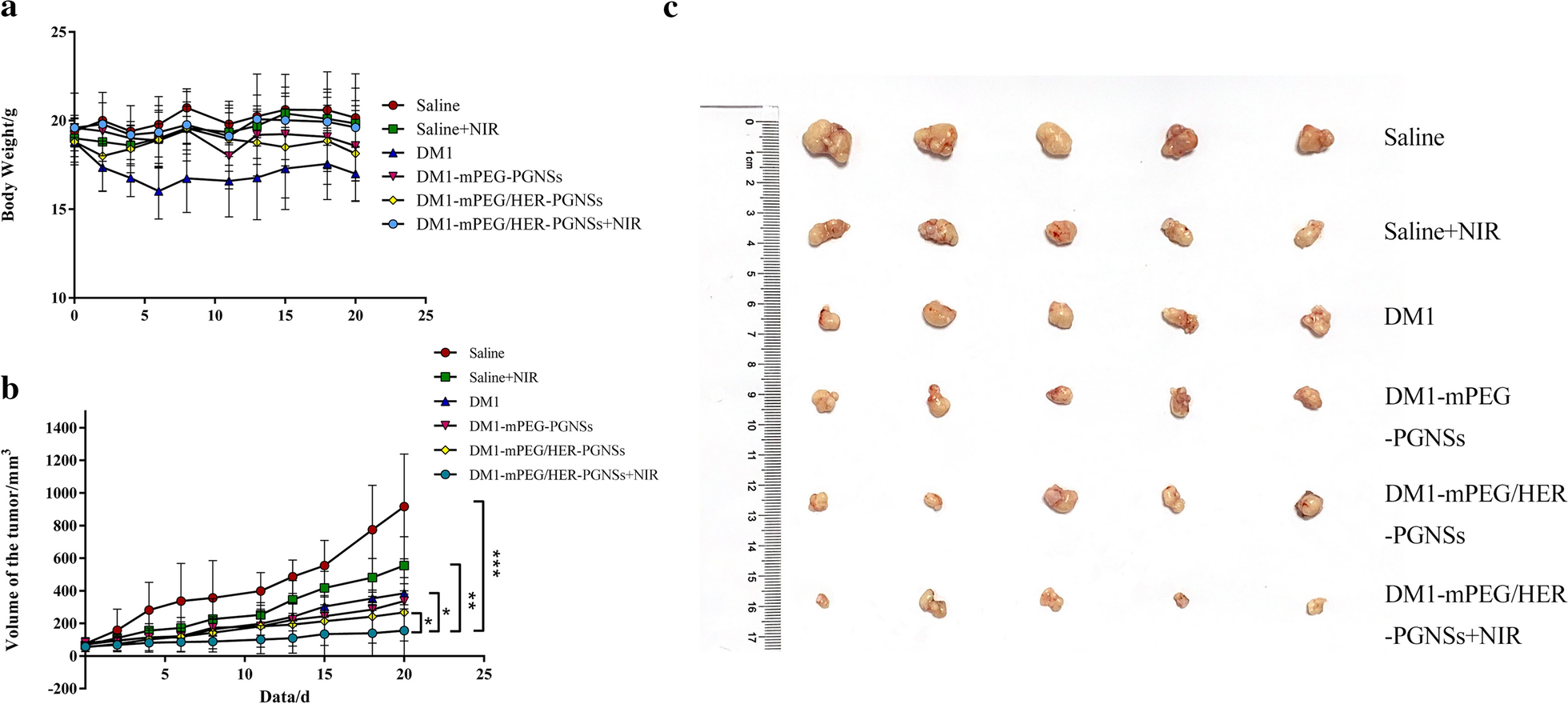 Fig. 8