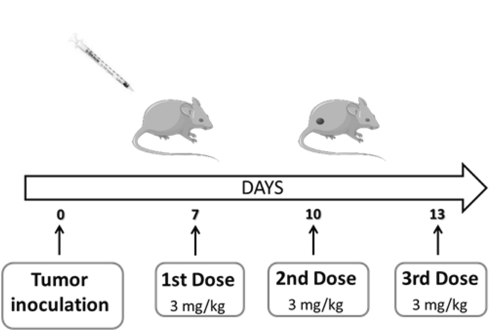 Fig. 12