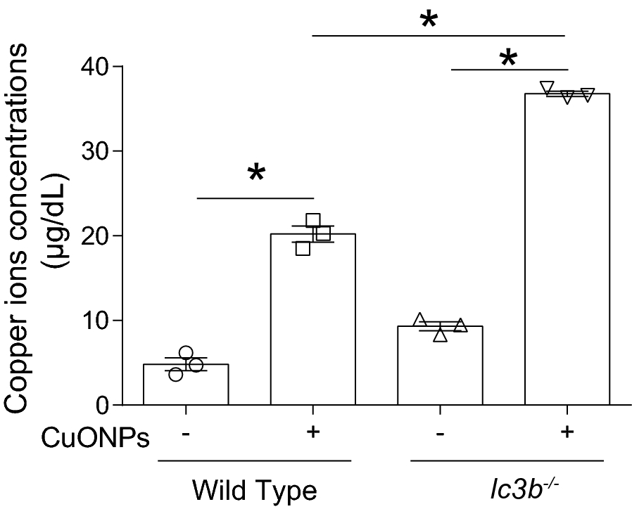 Fig. 13