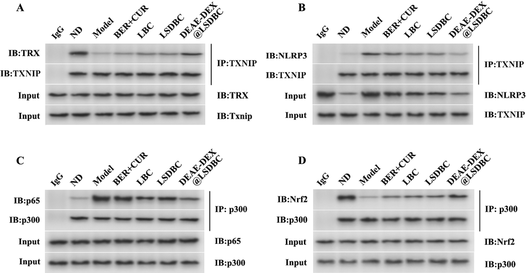 Fig. 10