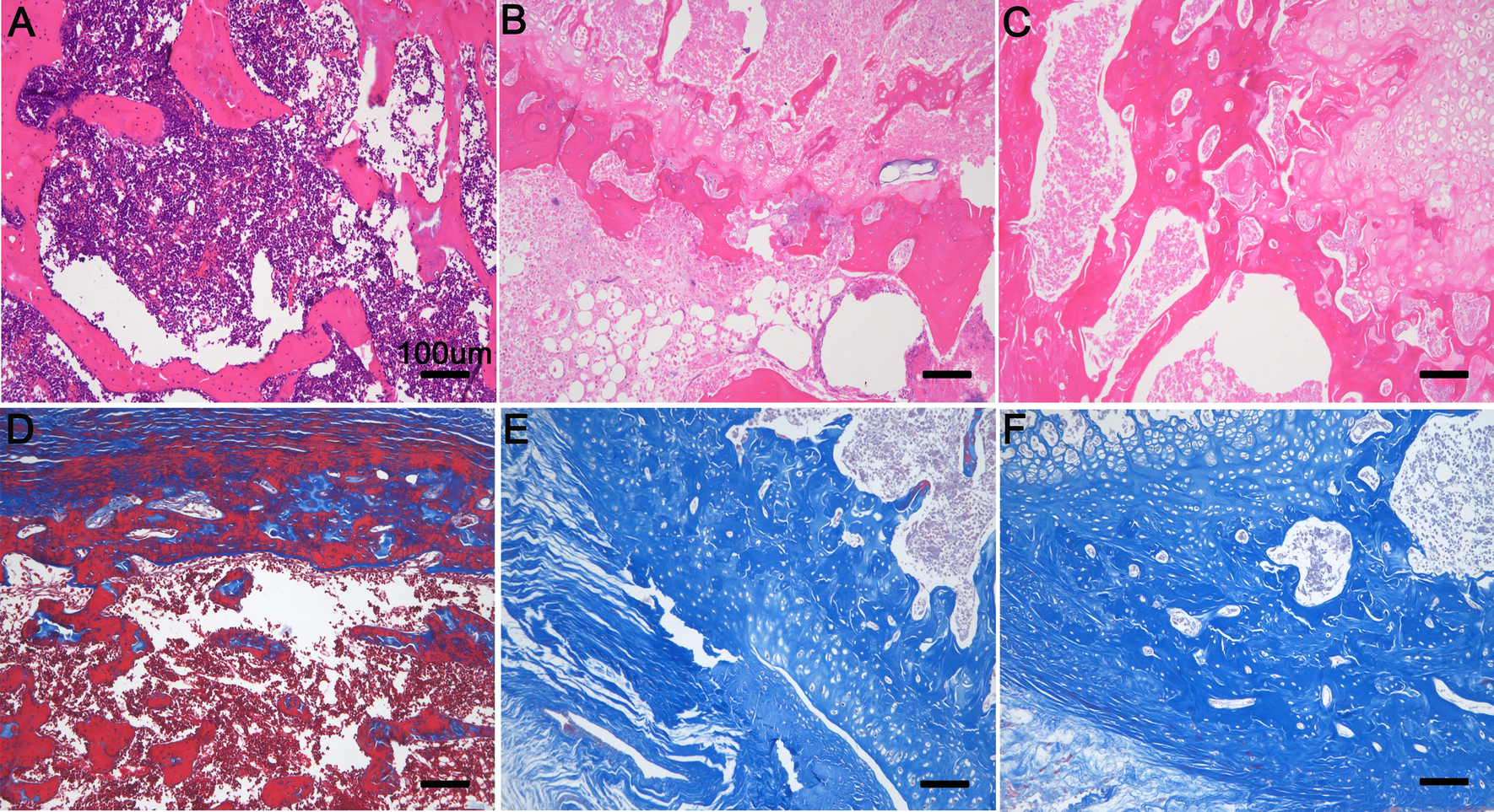 Fig. 11