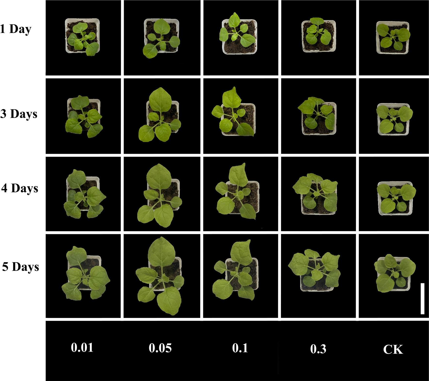 Fig. 3