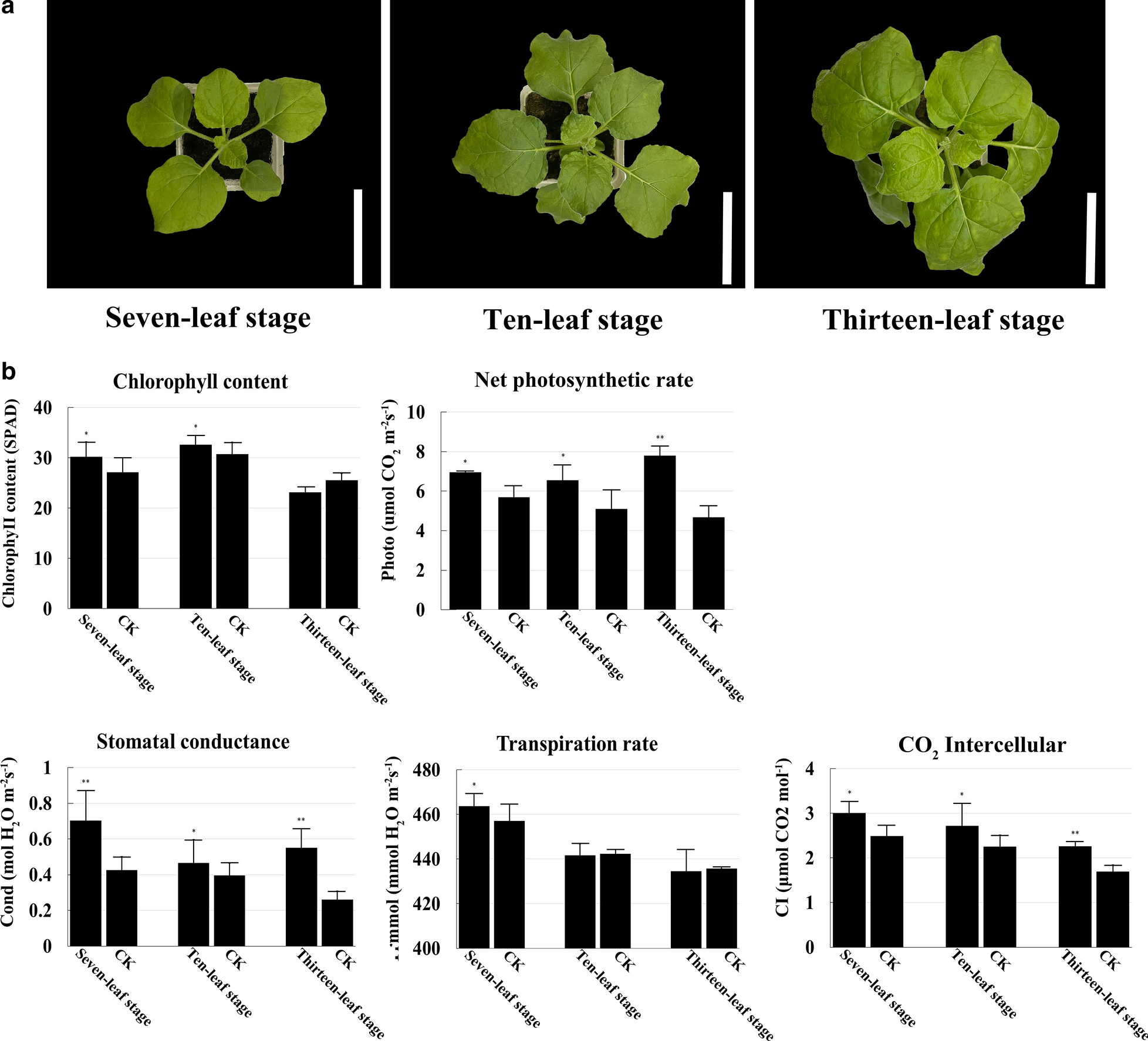 Fig. 6