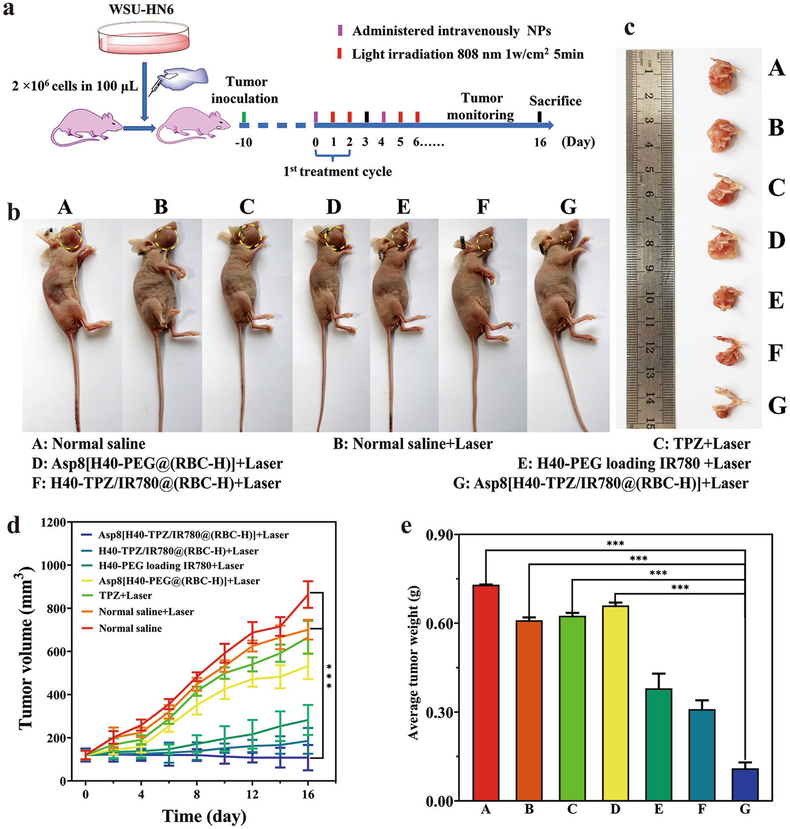 Fig. 6