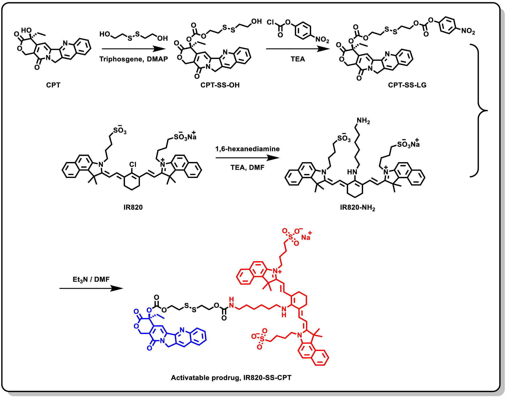 Scheme 2