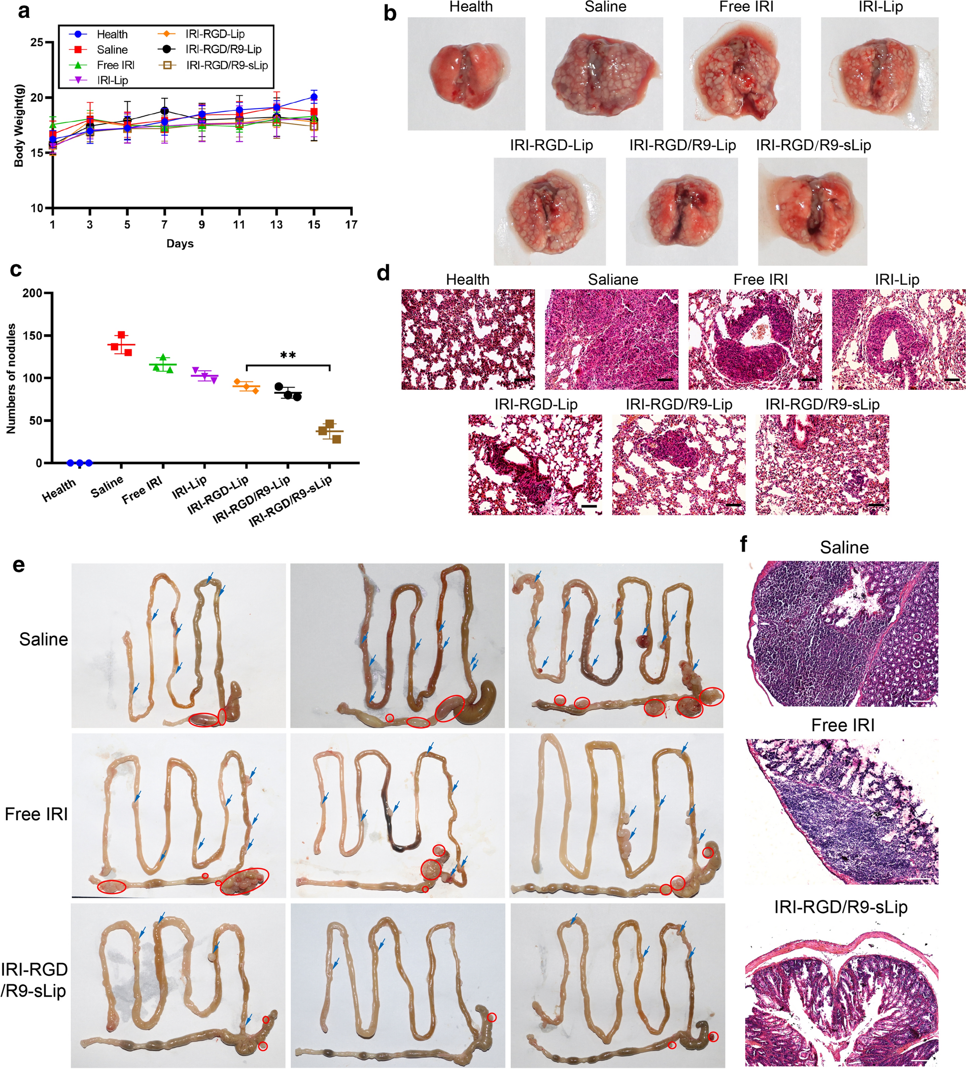 Fig. 10