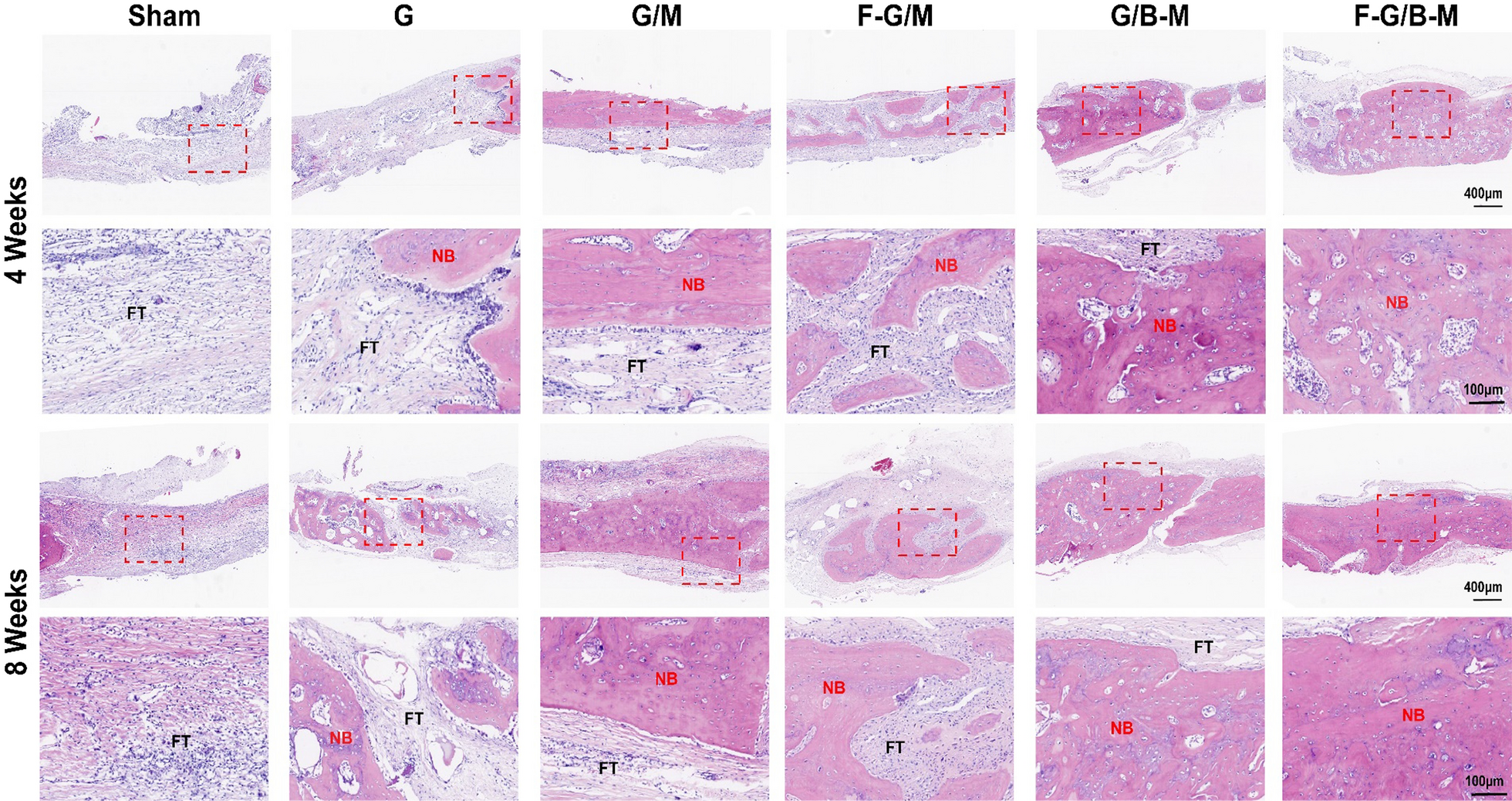 Fig. 7