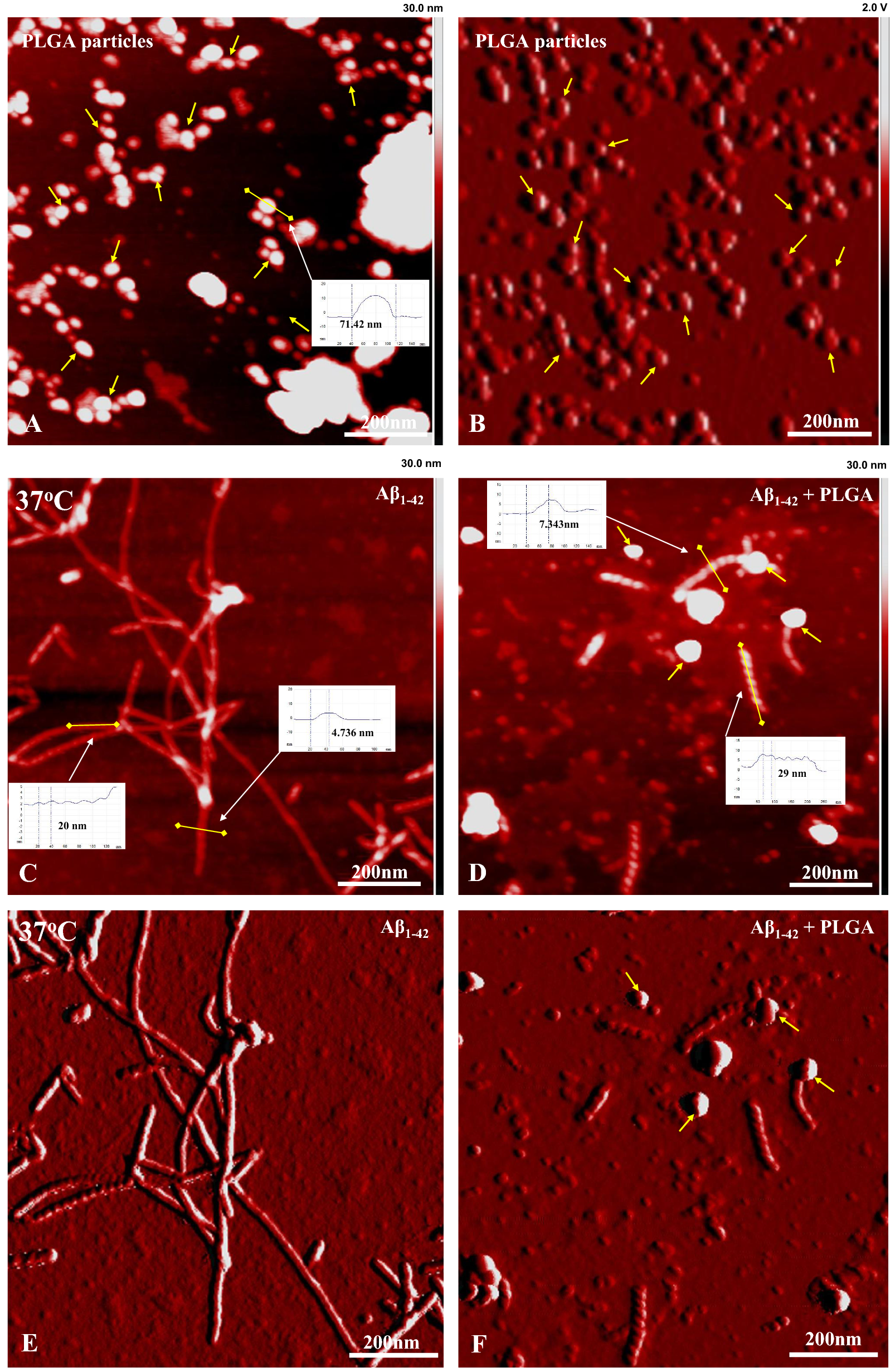 Fig. 4