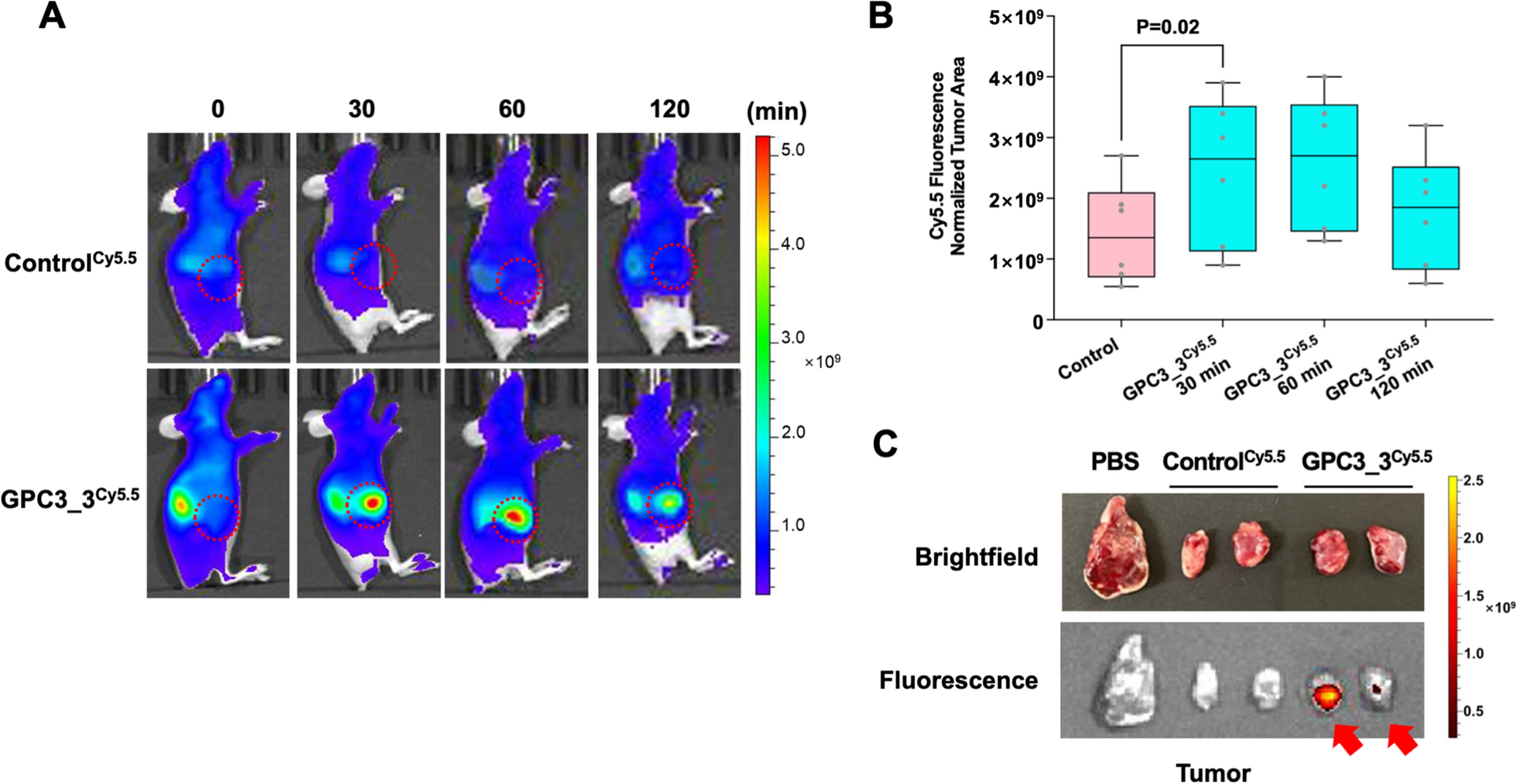 Fig. 6