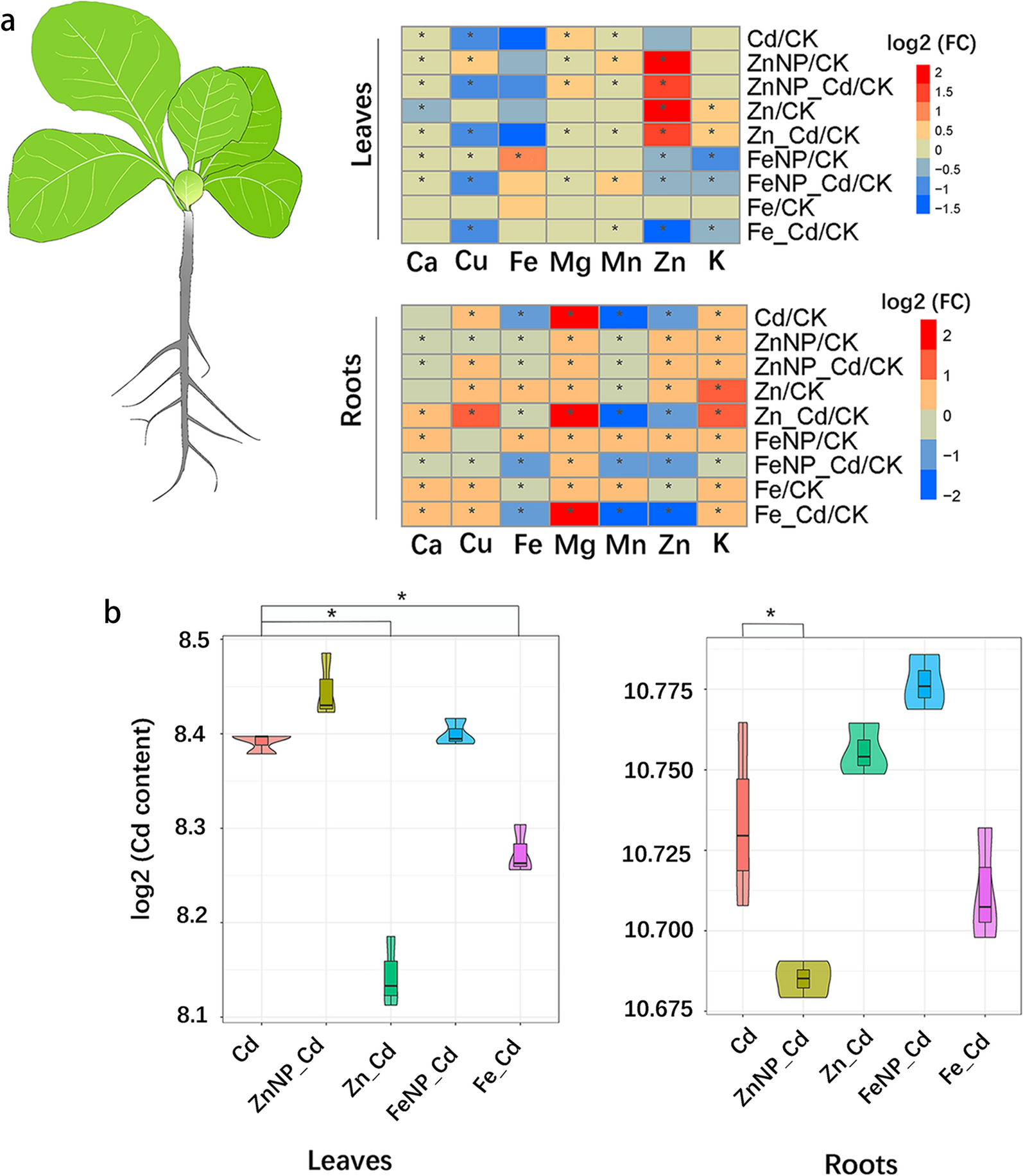 Fig. 2