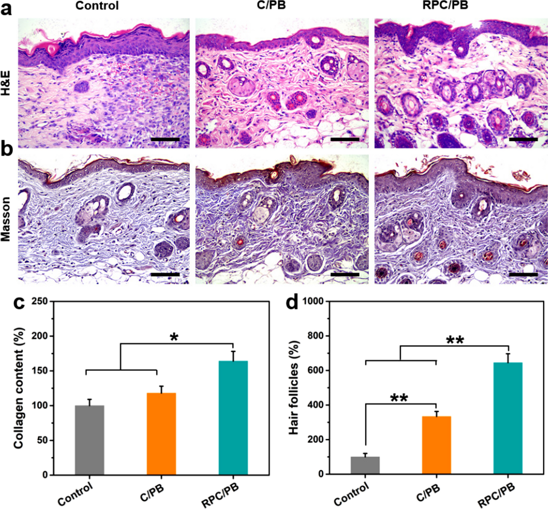 Fig. 7