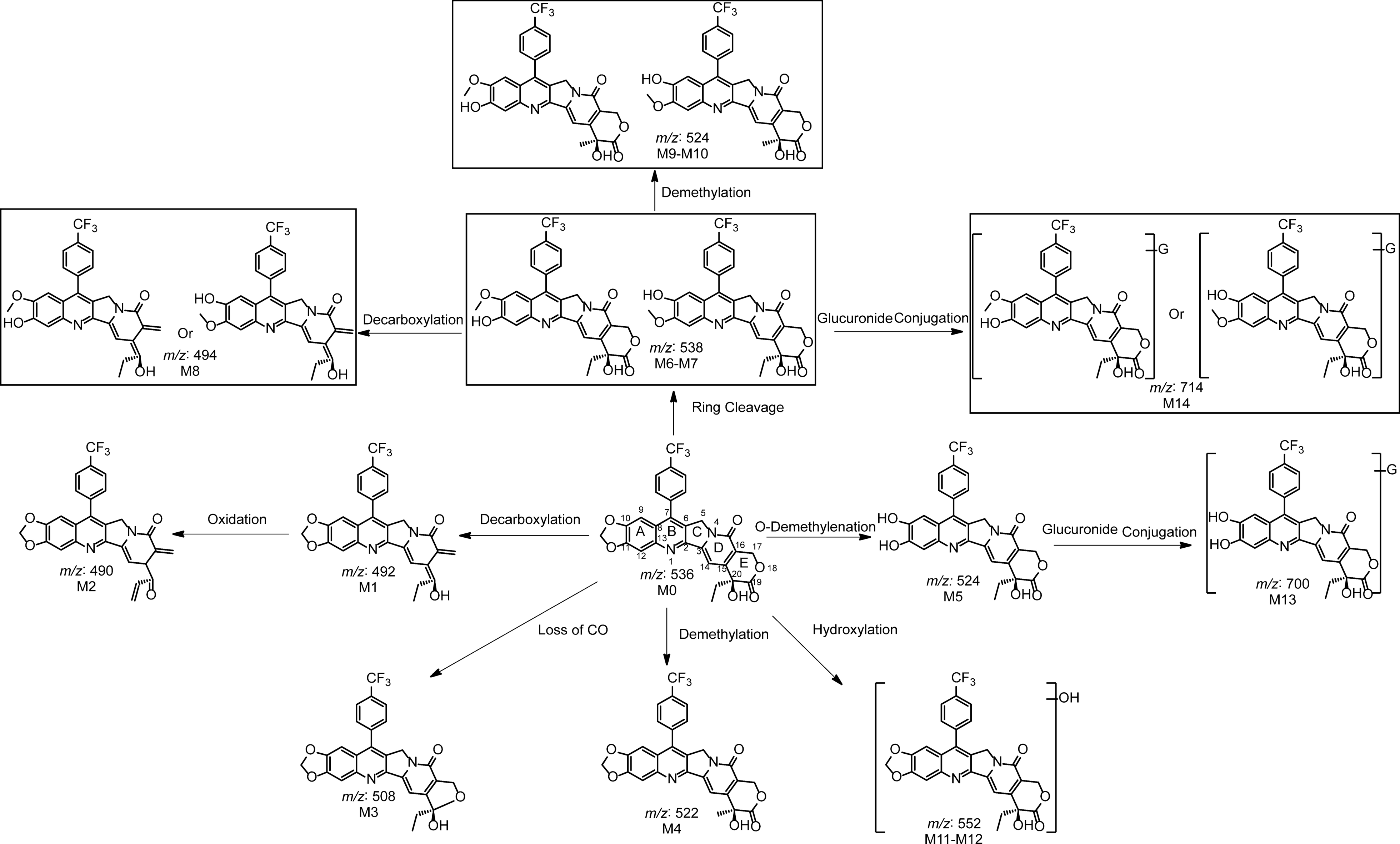 Fig. 8