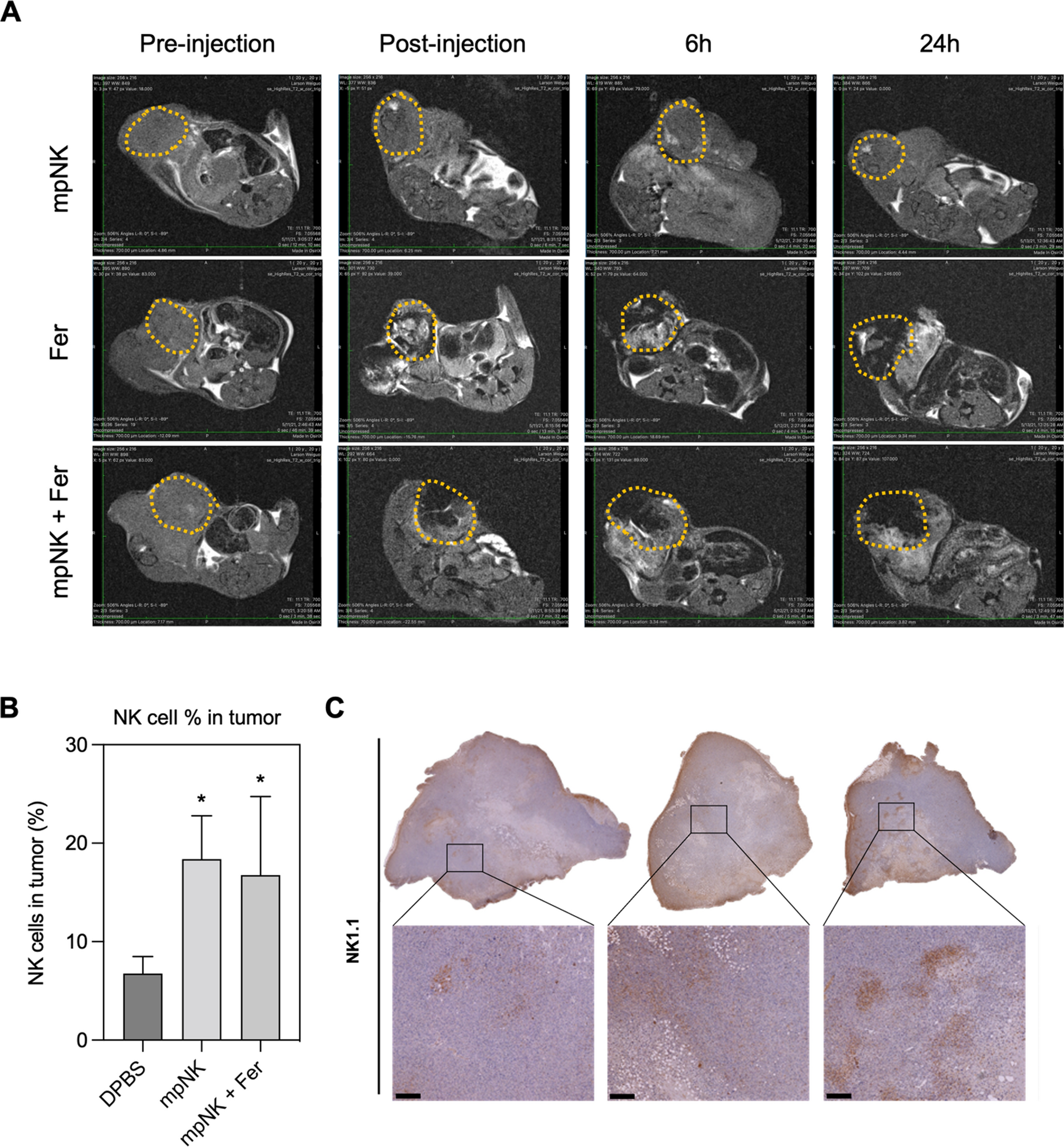 Fig. 4