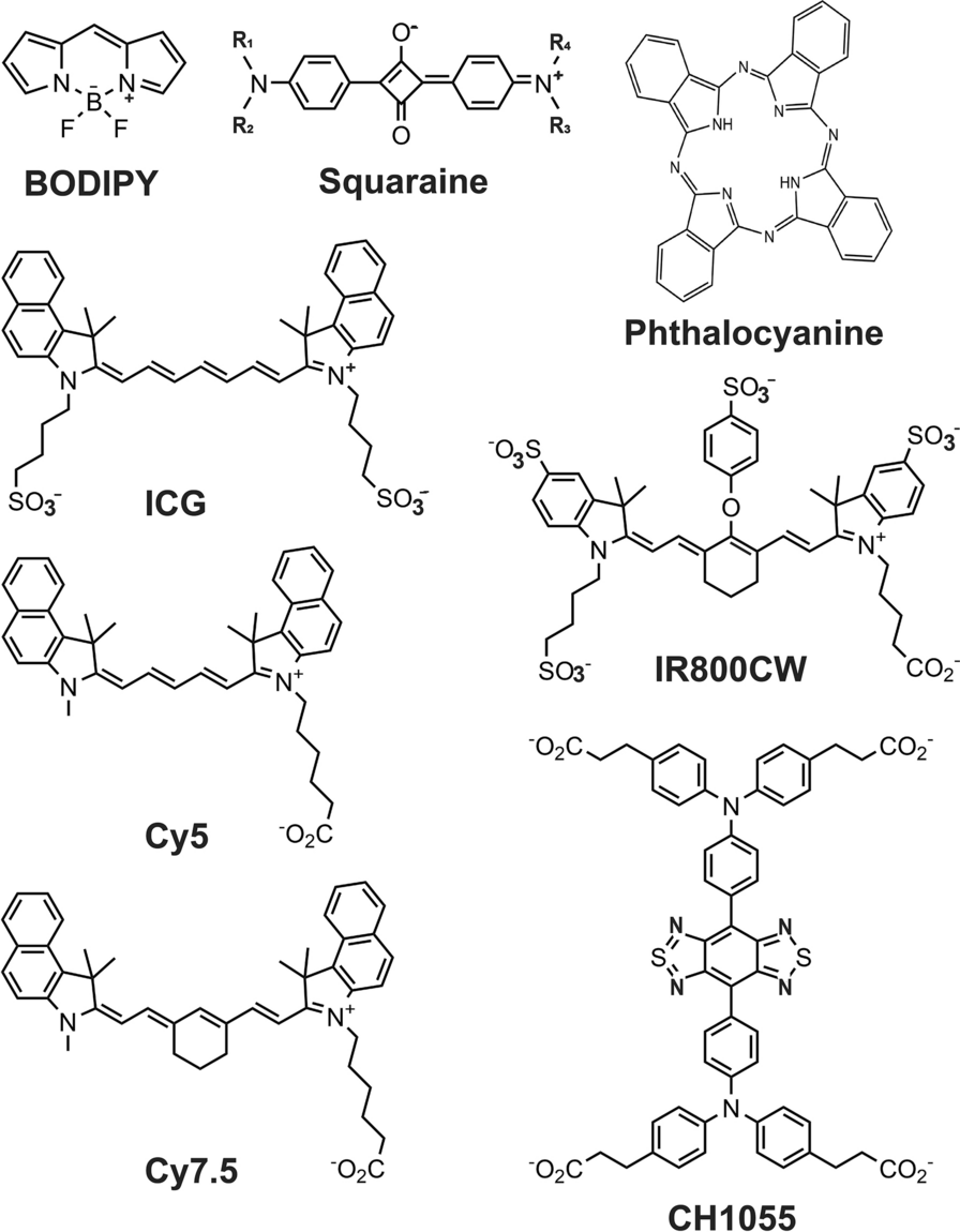 Fig. 4