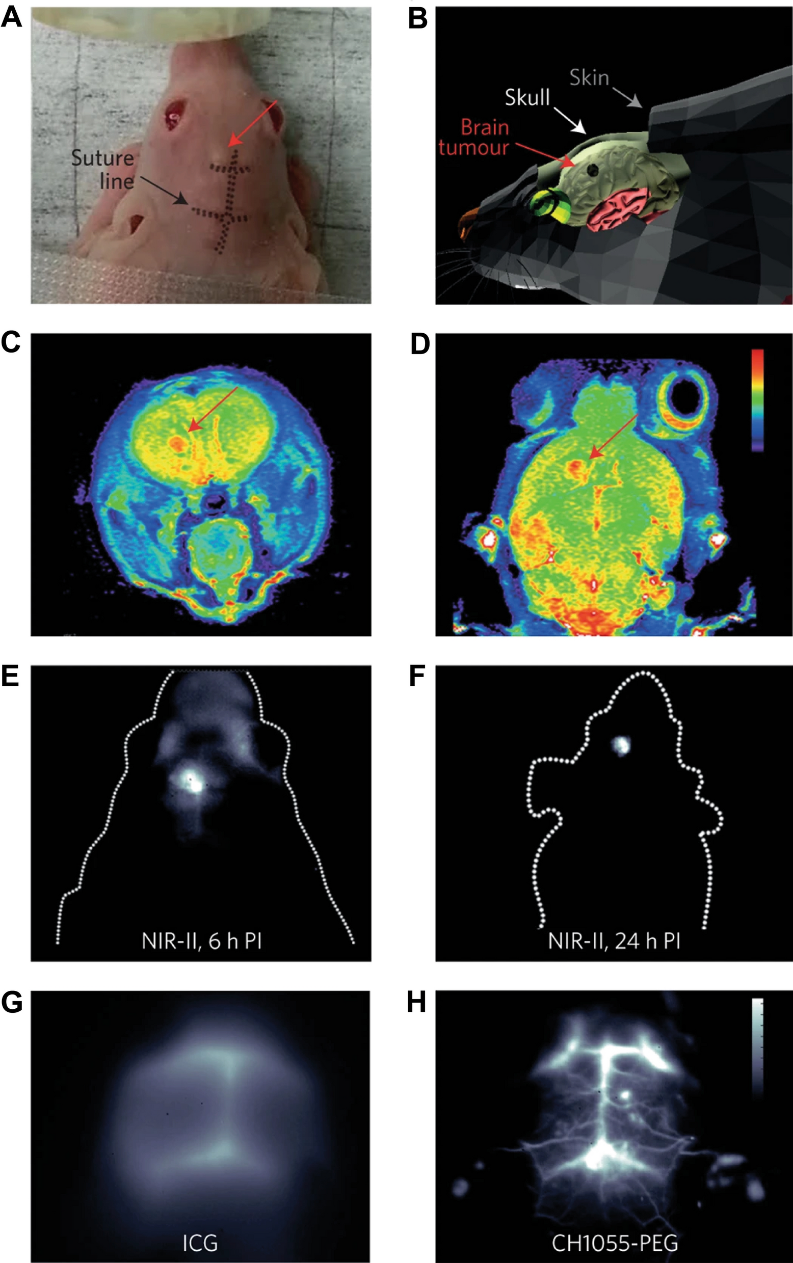 Fig. 6