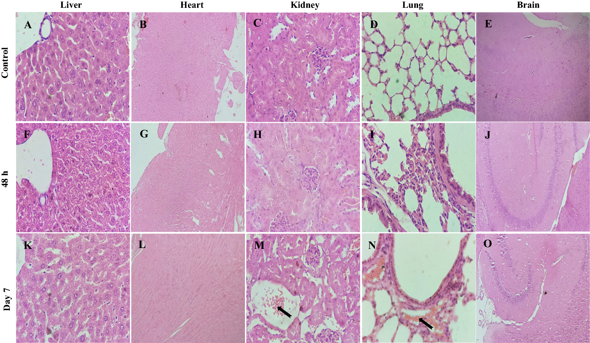 Fig. 10