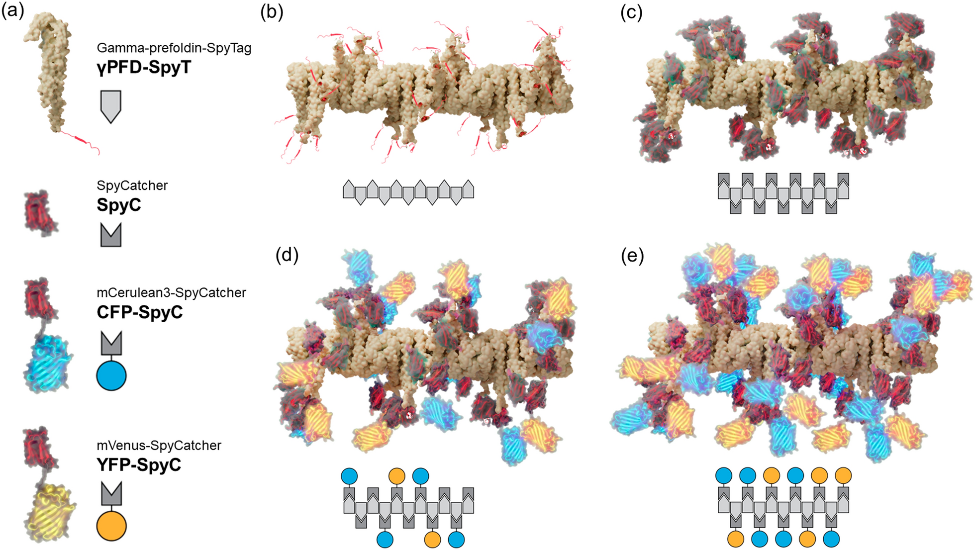 Fig. 3