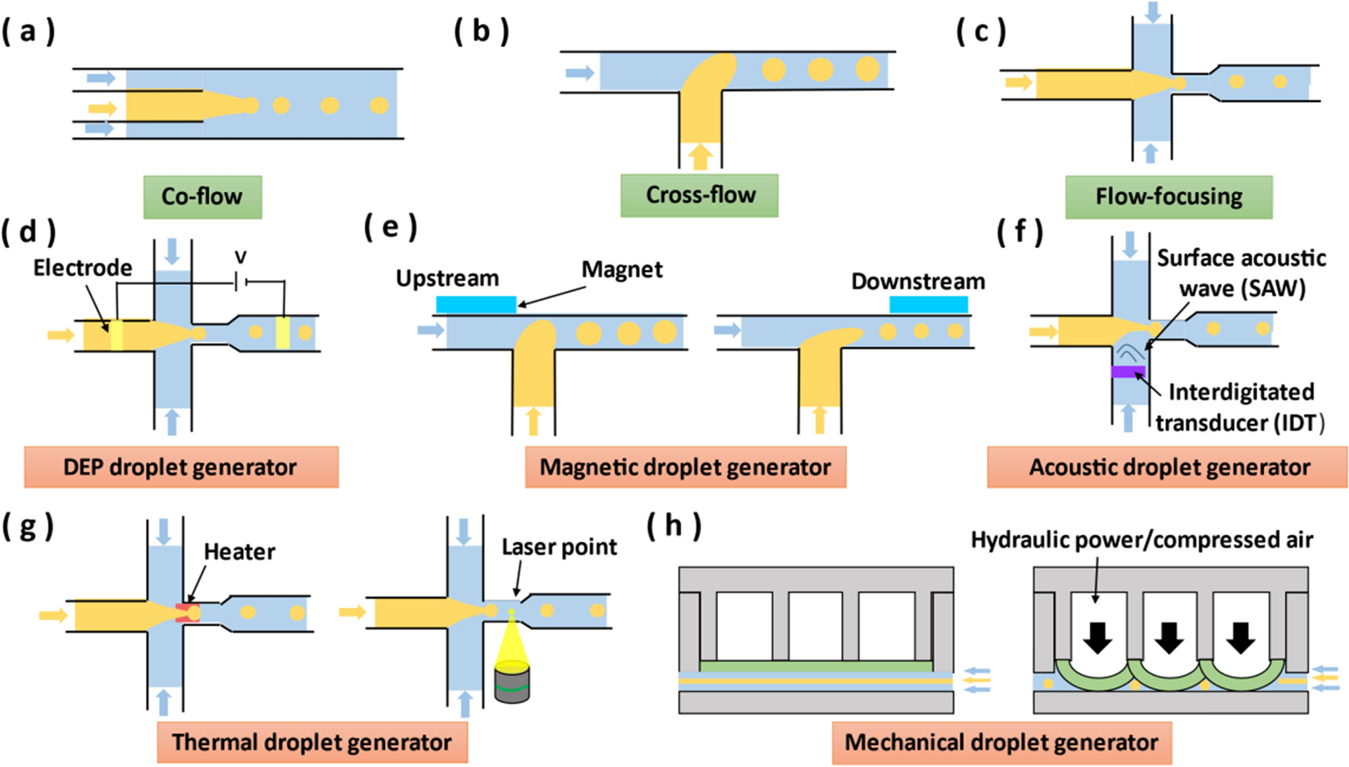 Fig. 6