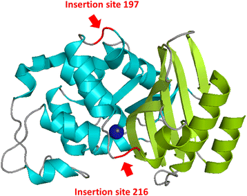 Fig. 1