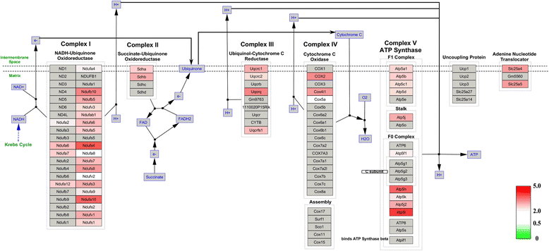 Fig. 6