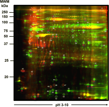 Fig. 3