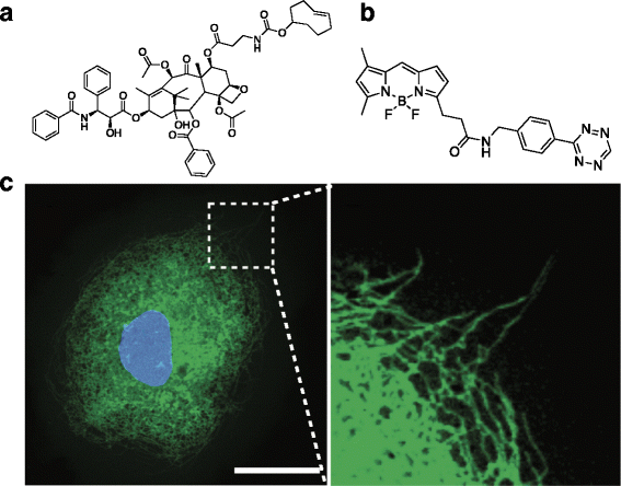 Fig. 4