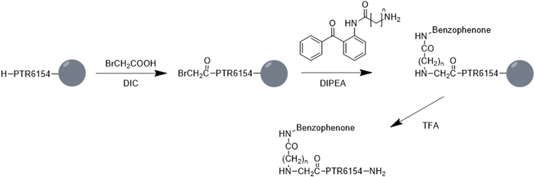 Fig. 10