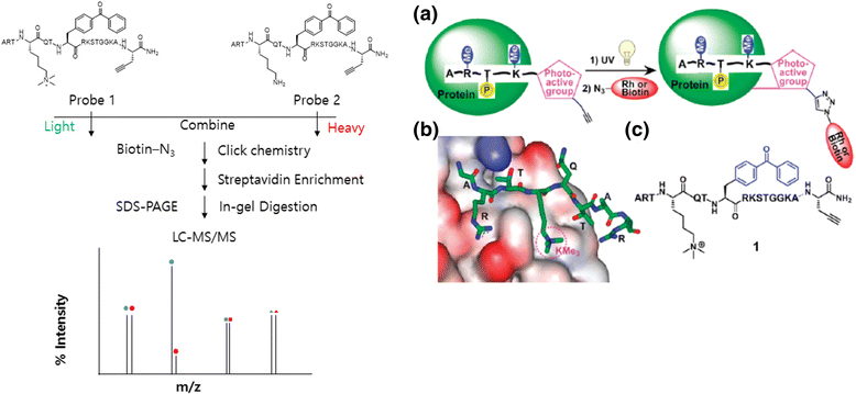 Fig. 12