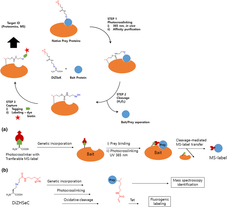 Fig. 16