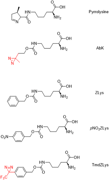 Fig. 17