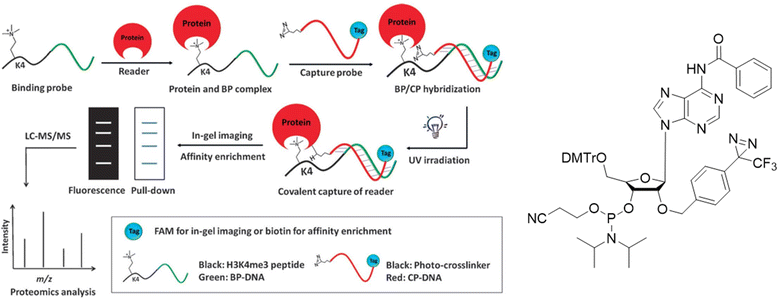 Fig. 22