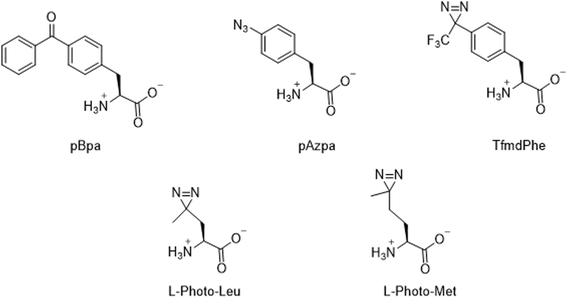 Fig. 30