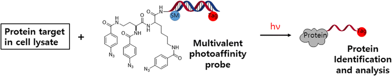 Fig. 31