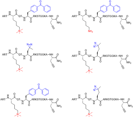 Fig. 32