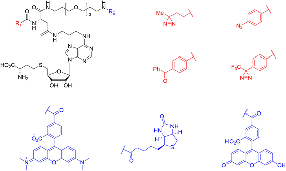 Fig. 33