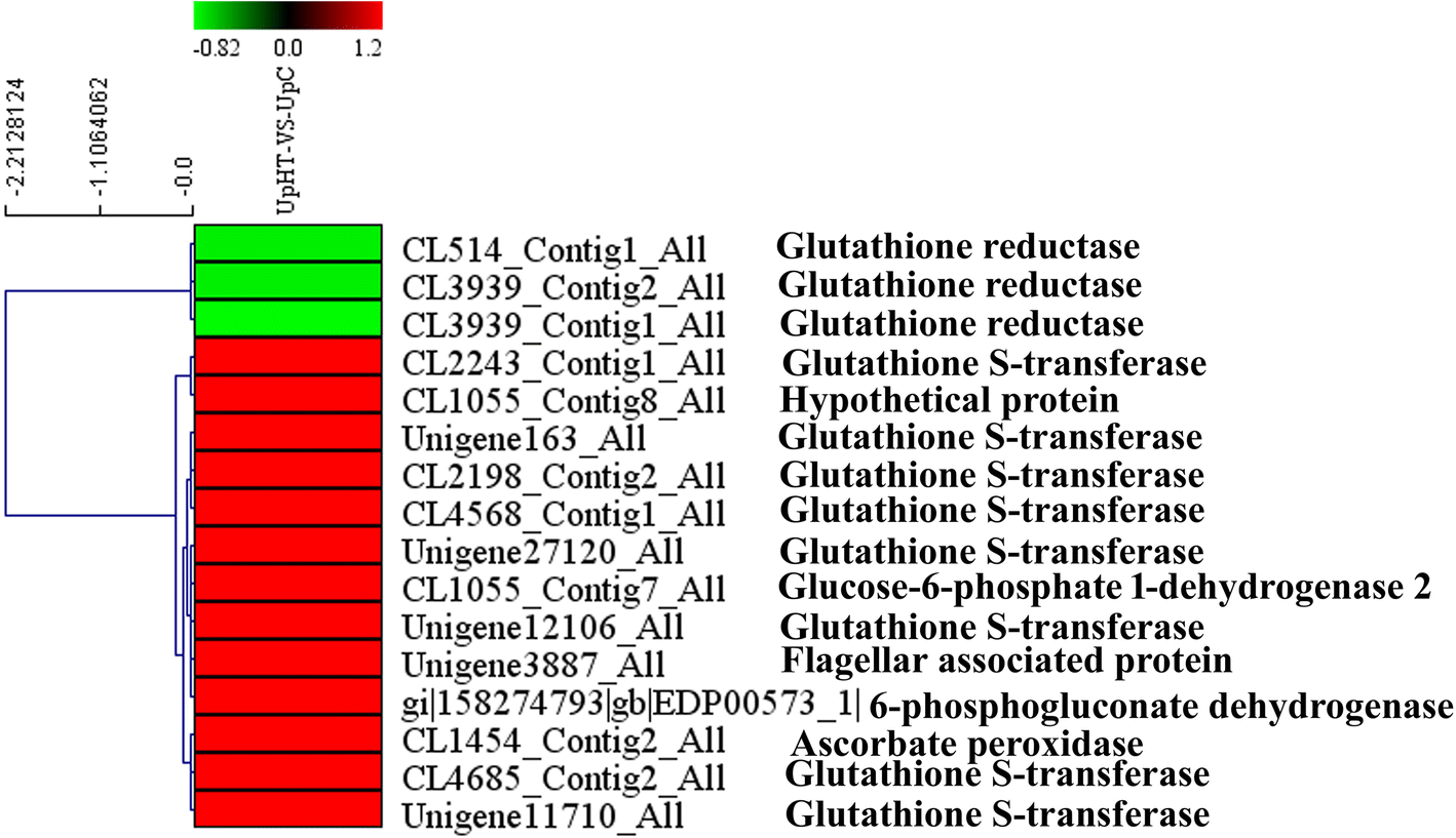 Fig. 10