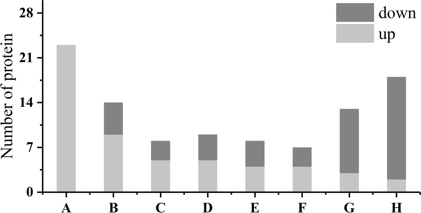 Fig. 7