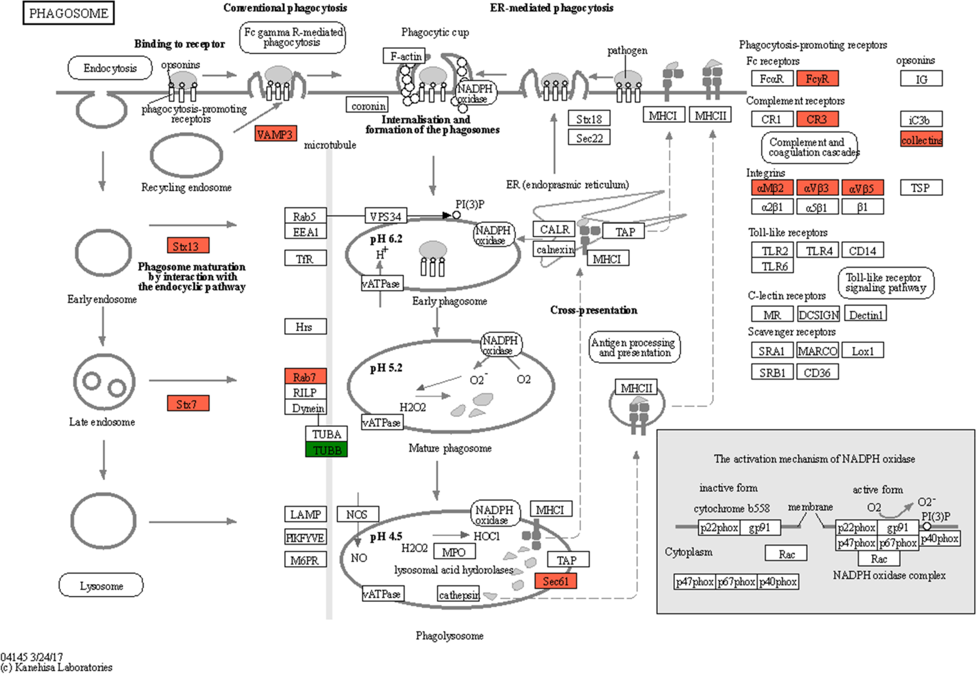 Fig. 7