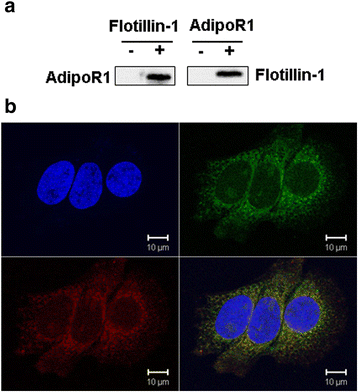 Fig. 5