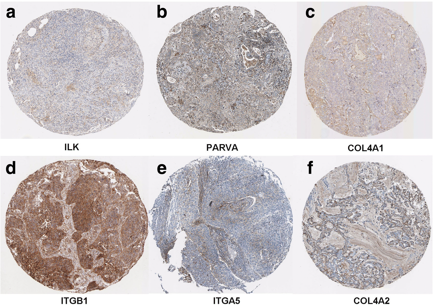 Fig. 9